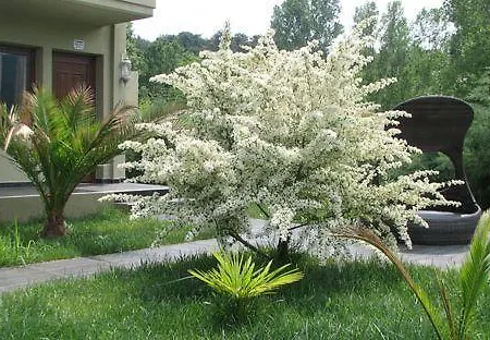 Апартаменты Abbacy Katiana's Castelleti 2