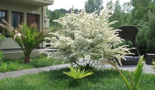 Апартаменты Abbacy Katiana's Castelleti 2